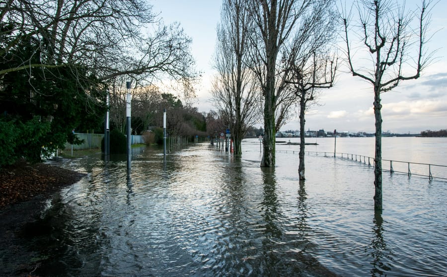 A river out of its banks, with water standing among trees and across a flooded path